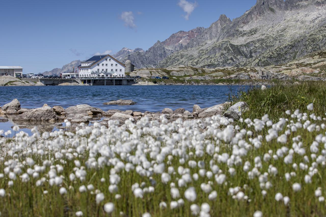 Hotel Grimsel Passhoehe Oberwald Exterior photo
